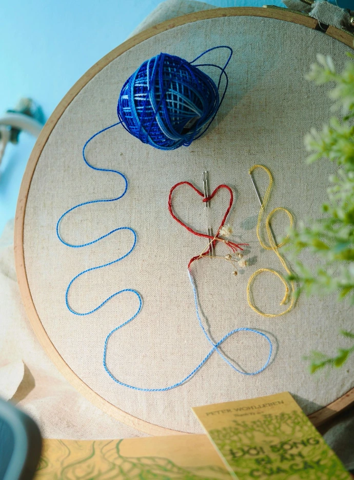 Embroidery hoop with yarn, needle, and heart design.